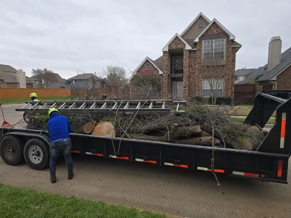 Expert Crown Reduction with proper safety equipment in Bloomington